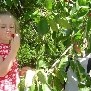 Meet your Posher, Sally